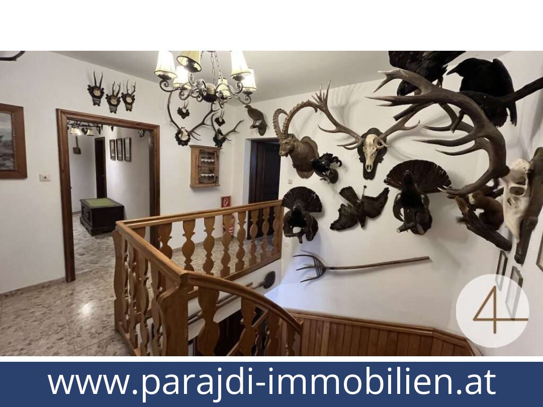 austria-homes-gostling an der ybbs-3345-20250827201510-0030301021.jpg